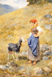 Paimentar, kirjoittanut Niccolo Cannicci (1846-1906)