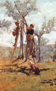 Oliivisato, noin 1892 (öljy kankaalle)