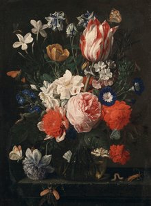 Ruusu, tulppaani, aamukirkko ja muita kukkia lasimaljakossa kivireunuksella, 1671 tekijältä Nicholaes van Verendael