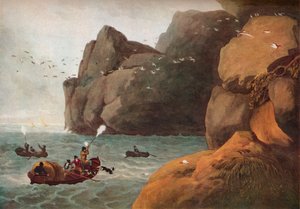 "Puffin Shooting", c1806 tekijältä Nichols and Merke