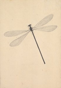 Sudenkorento, 1700-luvun alku - 1700-luvun puoliväli. tekijältä Nicolaas Struyk