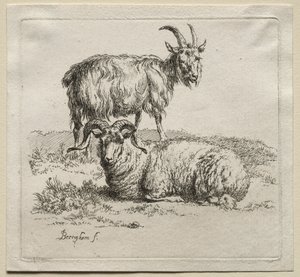 Eläimet: Ram ja vuohi
