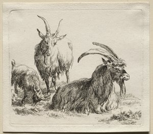 Animalia: Kolme vuohet tekijältä Nicolaes Berchem
