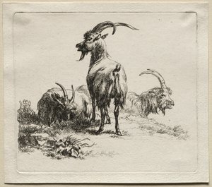 Animalia: Kolme vuohet tekijältä Nicolaes Berchem