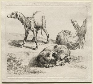 Animalia: Kolme metsästyskoiraa tekijältä Nicolaes Berchem