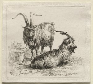 Animalia: Kaksi vuohet tekijältä Nicolaes Berchem