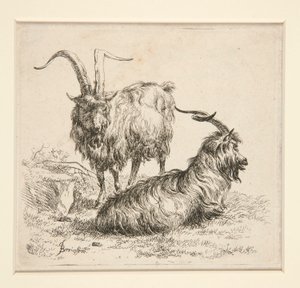 Cabres (del finlandès tekijältä Nicolaes Berchem
