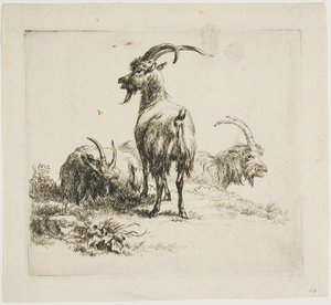 Vuohet, eri eläimistä tekijältä Nicolaes Berchem