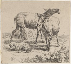 Kolme lammasta ja lammas. tekijältä Nicolaes Berchem
