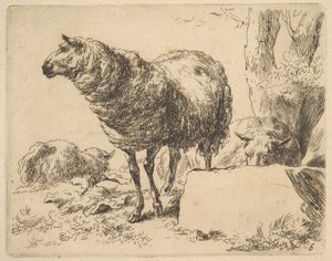 sarjasta The Set of Sheep. tekijältä Nicolaes Berchem