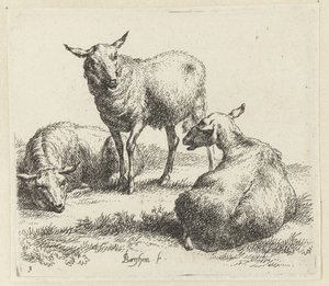 Kuivaa lampaat Schapen (sarjan nimi) Studio and Art of Nicolai Berchem (sarjan nimi) herättää elämään ja painaa veteen voimakkaalla ilmalla eläimet tekijältä Nicolaes Pietersz Berchem