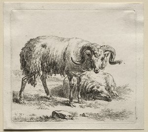 Oinas ja lampaat. tekijältä Nicolaes Pietersz. Berchem