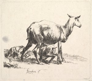 Lampaat karitsanhoitoon. tekijältä Nicolaes Pietersz. Berchem