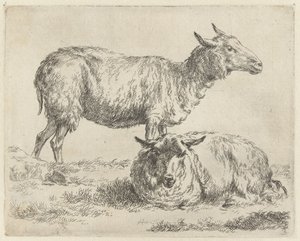 Staand en liggend schaap Schapen (sarjan nimi) Studio and Art of Nicolai Berchem (sarjan nimi) herättää elämään ja painaa veteen voimakkaalla ilmalla eläimet tekijältä Nicolaes Pietersz Berchem