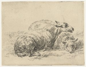 Twee ligende schapen Schapen (sarjan nimi) Studio and Art of Nicolai Berchem (sarjan nimi) herättää elämään ja painaa veteen voimakkaalla ilmalla eläimet