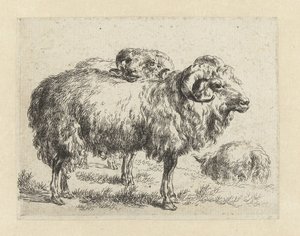 Twee rammen en een schaap Schapen (sarjan nimi) Studio and Art of Nicolai Berchem (sarjan nimi) herättää elämään ja painaa veteen voimakkaalla ilmalla eläimet