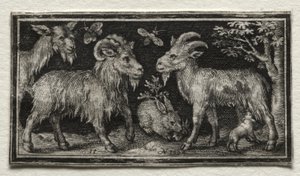 Vuohet ja jänis, 1594. tekijältä Nicolaes de Bruyn