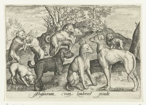 Yhdeksän koiraa Animalivm qvadrvpedvm (sarjan nimi) Eläimet maisemissa (sarjan nimi) tekijältä Nicolaes de Bruyn