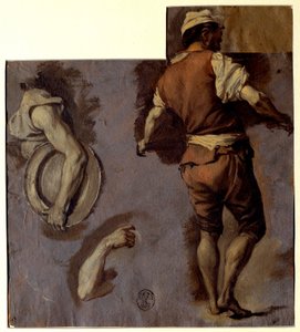 Tutkimus anatomiasta, käsivarsien liikkeistä ja selästä miehestä Öljypiirustus Nicolas Vleughels (1668-1737) Sun. 0,28x0,25 m