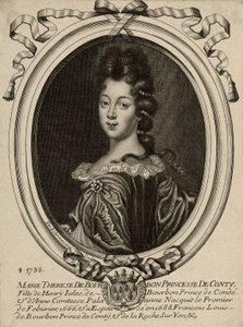 Marie Therese de Bourbon, Kontin prinsessa