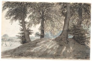"Nysøn hyppymäki"