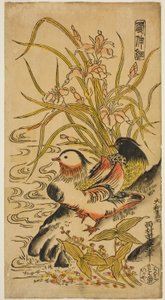 Mandarin Ducks, sarjasta "Kashinsai"