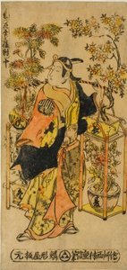Neljän vuodenajan kukkien kauppias - Kolmen setti (Shiki no hanauri sanpukutsui)