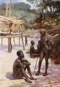 Yam-vaja Tierra Espiritu Santon saarella, Uudet Hebridit (väri litho) tekijältä Norman Hardy