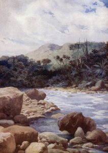 The Rapids, Williams River, Eromangan saari, Uudet Hebridit (väri litho) tekijältä Norman Hardy