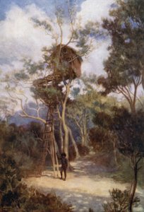 Tree House Brittiläisessä Uudessa-Guineassa (väri litho) tekijältä Norman Hardy