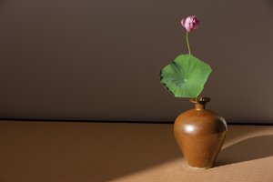 Persimmon-lasitettu meiping