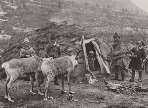 Lapin perhe tekijältä Norwegian Photographer