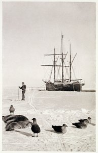 "Fram" Whalesinlahdella, elokuvasta "Etelänapa": Kertomus norjalaisesta Etelämanner-retkikunnasta 