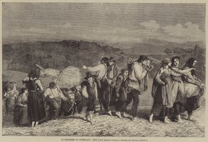 Heinänteko Saksassa, viimeinen kuorma tekijältä O.A. Sickert