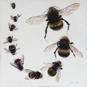 Bombus, 2015 (akryyli gessoidulle puulle)