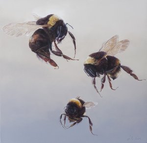 Bombus lento 1, 2011 (akryyli puulle) tekijältä Odile Kidd