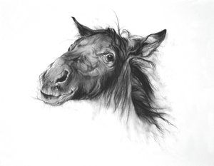 Colt, 2002 (hiili Fabrianon paperille) tekijältä Odile Kidd