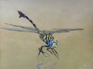 Lohikäärmekärpänen, 2009 (akryyli puulle)