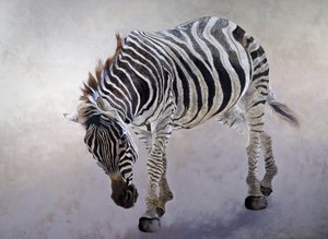 Equus burchelli 2, 2010 (akryyli kankaalle) tekijältä Odile Kidd