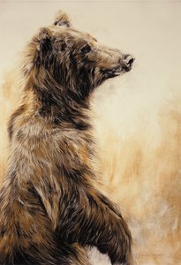 Harmaakarhu 2, 2002 (hiilikynä, hiili ja liitu). tekijältä Odile Kidd