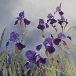 Iris hybrida, 2015 (akryyli gessooidulle puulle)