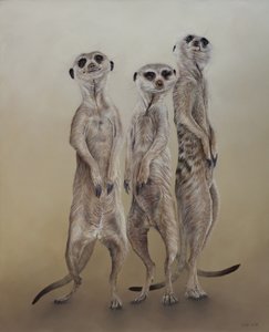 Meerkat, 2014 (akryyli gessoidulle puulle)