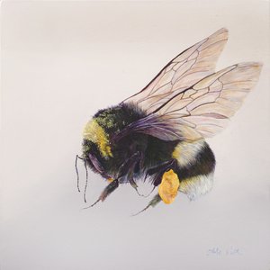 Pollen sac 2, 2011 (akryyli puulle) tekijältä Odile Kidd