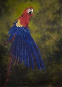 Tulipuna-arva 2, 2009 (akryyli pellavalle)