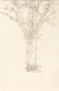 Puu tekijältä Odilon Redon