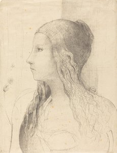 Brunnhilde tekijältä Odilon Redon