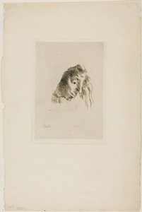 Kirjoista tekijältä Odilon Redon