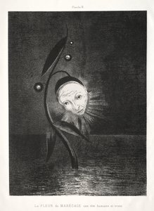 Kunnioitus Goyalle: Suon kukka, surullinen ihmispää, 1885. tekijältä Odilon Redon