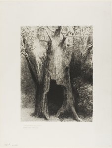 Sukelsin yksinäisyyteen. Asuin takanani olevassa puussa, levy 9/24 tekijältä Odilon Redon