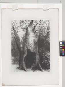 I Sunk Into Solitude (litografia kiinaapplikointipaperille) tekijältä Odilon Redon